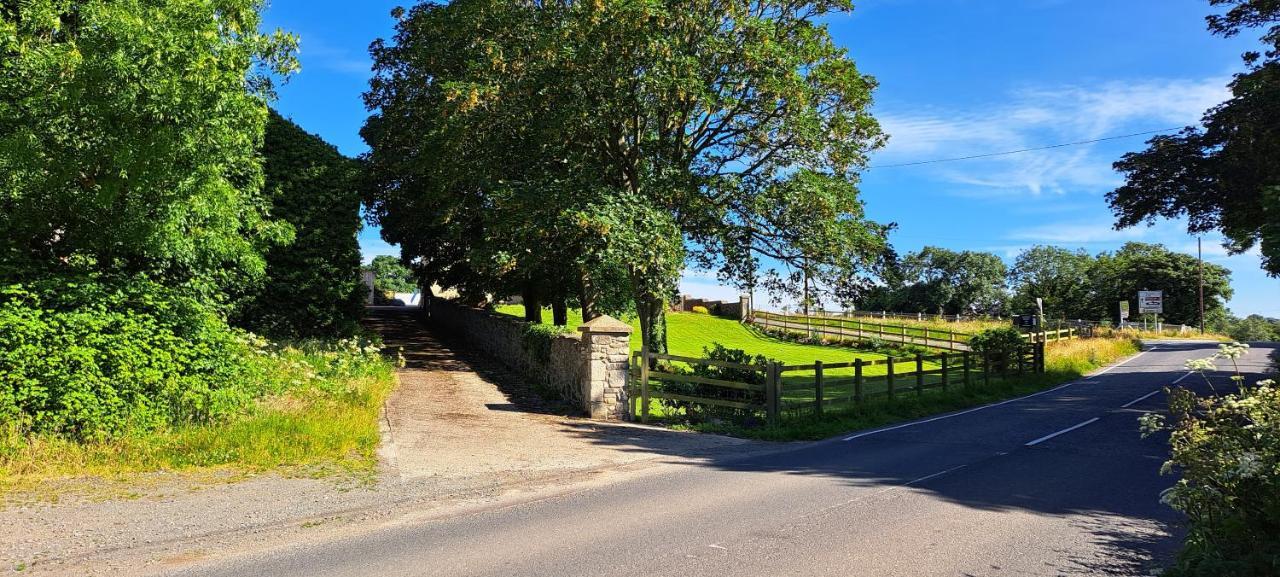Ardkeen House B&B Exteriör bild
